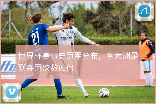 世界杯赛事史冠军分布，各大洲足联夺冠次数如何
