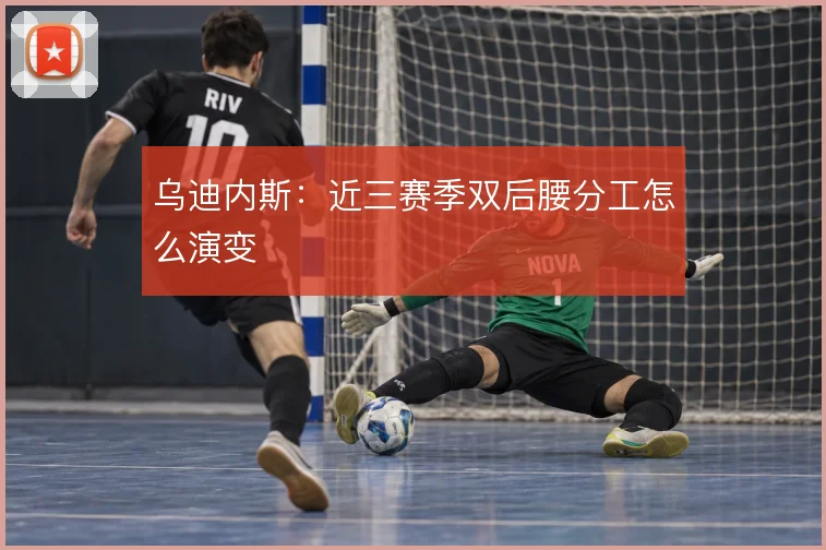 乌迪内斯：近三赛季双后腰分工怎么演变