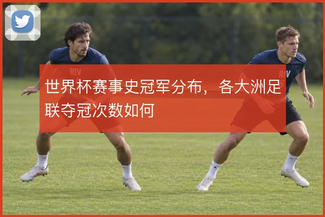 世界杯赛事史冠军分布，各大洲足联夺冠次数如何